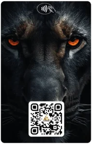 AI_cards_37_2-02
